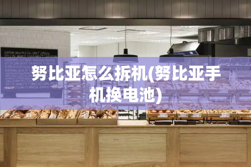 努比亚怎么拆机(努比亚手机换电池)
