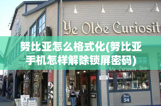 努比亚怎么格式化(努比亚手机怎样解除锁屏密码)