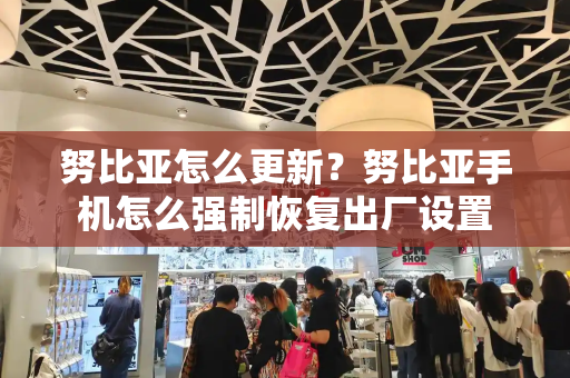 努比亚怎么更新？努比亚手机怎么强制恢复出厂设置-第1张图片-星选测评