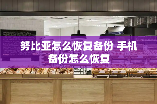努比亚怎么恢复备份 手机备份怎么恢复-第1张图片-星选测评