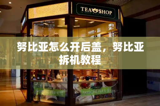 努比亚怎么开后盖，努比亚拆机教程