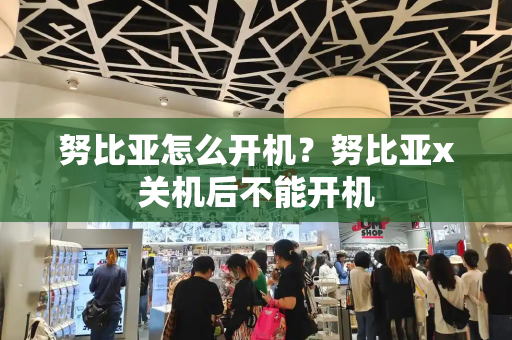 努比亚怎么开机？努比亚x关机后不能开机-第1张图片-星选测评