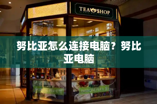 努比亚怎么连接电脑？努比亚电脑