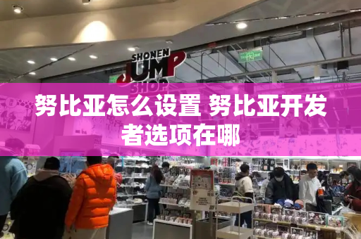 努比亚怎么设置 努比亚开发者选项在哪