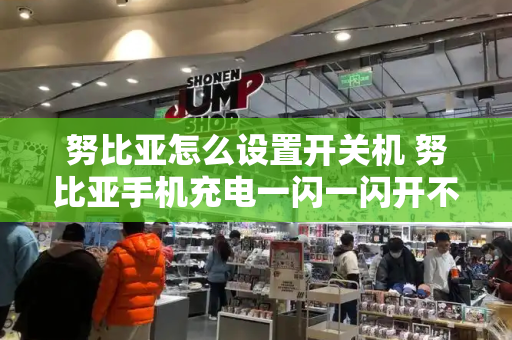 努比亚怎么设置开关机 努比亚手机充电一闪一闪开不了机-第1张图片-星选测评