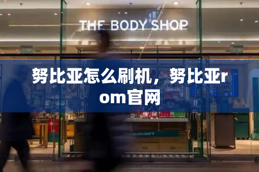 努比亚怎么刷机，努比亚rom官网