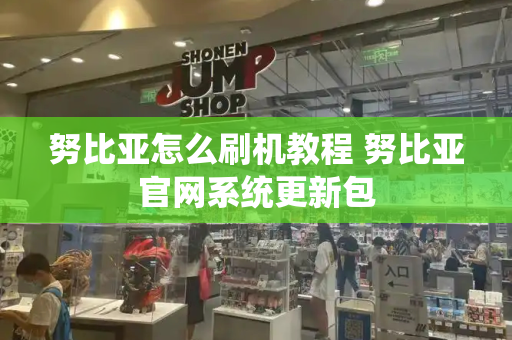 努比亚怎么刷机教程 努比亚官网系统更新包-第1张图片-星选测评