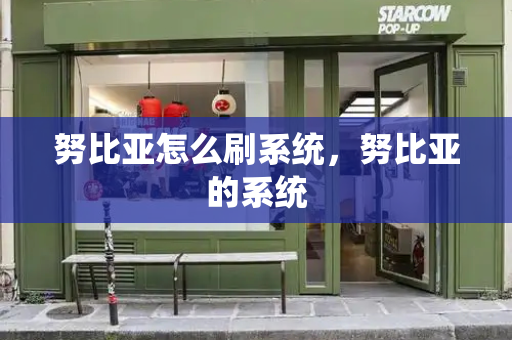 努比亚怎么刷系统，努比亚的系统