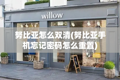 努比亚怎么双清(努比亚手机忘记密码怎么重置)