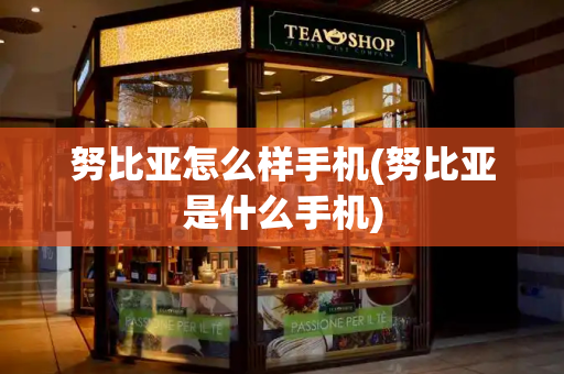 努比亚怎么样手机(努比亚是什么手机)-第1张图片-星选测评