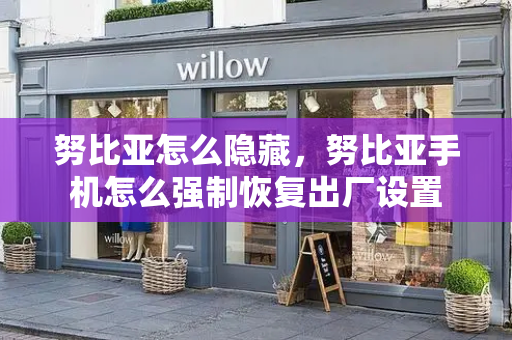 努比亚怎么隐藏，努比亚手机怎么强制恢复出厂设置