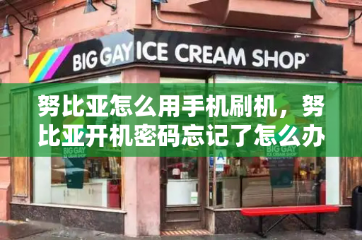 努比亚怎么用手机刷机，努比亚开机密码忘记了怎么办