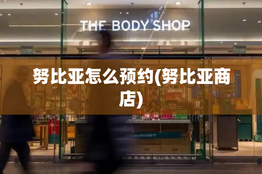 努比亚怎么预约(努比亚商店)