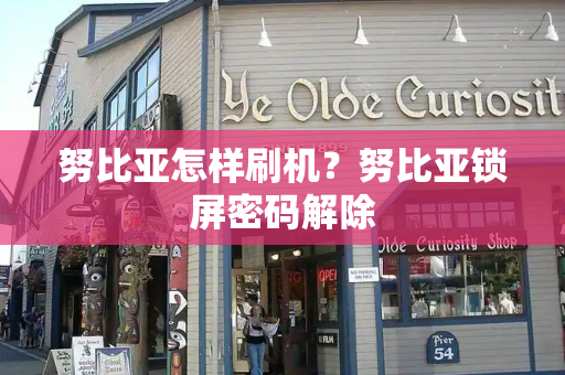 努比亚怎样刷机？努比亚锁屏密码解除
