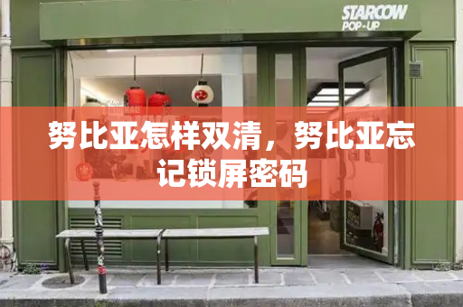 努比亚怎样双清，努比亚忘记锁屏密码