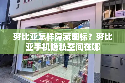 努比亚怎样隐藏图标？努比亚手机隐私空间在哪