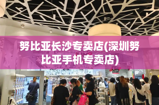 努比亚长沙专卖店(深圳努比亚手机专卖店)