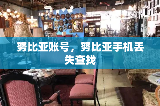 努比亚账号，努比亚手机丢失查找
