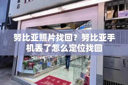努比亚照片找回？努比亚手机丢了怎么定位找回-第1张图片-星选测评