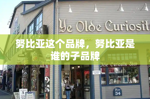 努比亚这个品牌，努比亚是谁的子品牌-第1张图片-星选测评