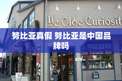 努比亚真假 努比亚是中国品牌吗