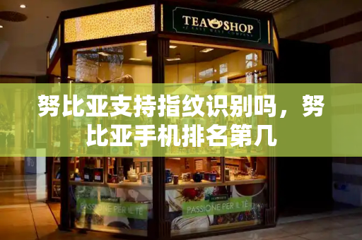 努比亚支持指纹识别吗，努比亚手机排名第几