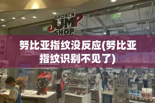 努比亚指纹没反应(努比亚指纹识别不见了)