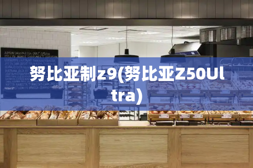 努比亚制z9(努比亚Z50Ultra)-第1张图片-星选测评
