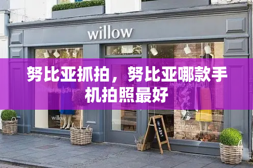 努比亚抓拍，努比亚哪款手机拍照最好-第1张图片-星选测评