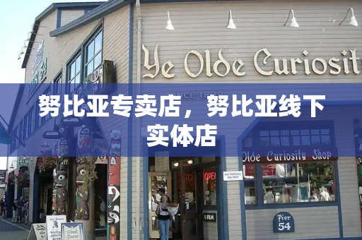 努比亚专卖店，努比亚线下实体店-第1张图片-星选测评