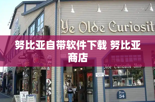 努比亚自带软件下载 努比亚商店-第1张图片-星选测评