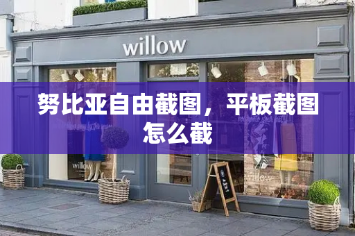 努比亚自由截图，平板截图怎么截-第1张图片-星选测评