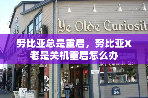 努比亚总是重启，努比亚X老是关机重启怎么办-第1张图片-星选测评