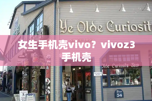 女生手机壳vivo？vivoz3手机壳