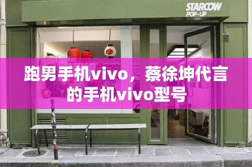 跑男手机vivo，蔡徐坤代言的手机vivo型号-第1张图片-星选测评