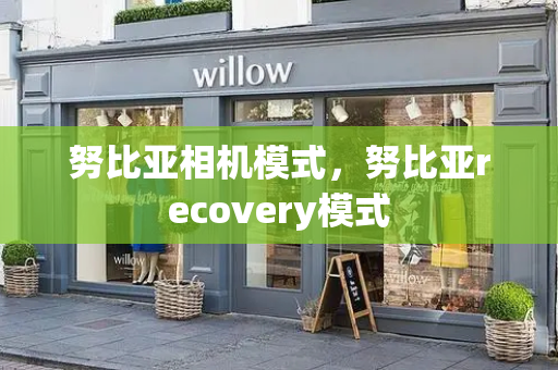努比亚相机模式，努比亚recovery模式
