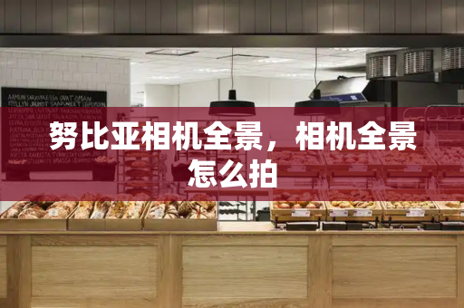 努比亚相机全景，相机全景怎么拍
