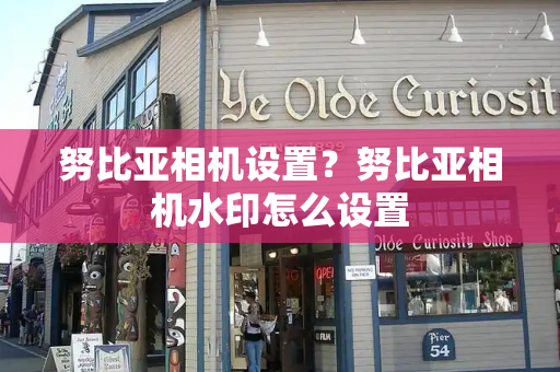 努比亚相机设置？努比亚相机水印怎么设置