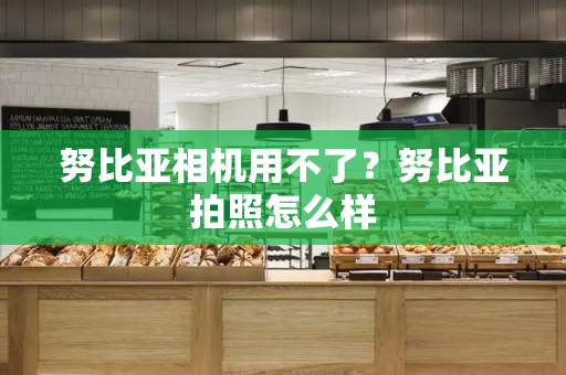 努比亚相机用不了？努比亚拍照怎么样-第1张图片-星选测评