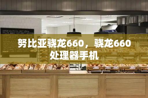 努比亚骁龙660，骁龙660处理器手机