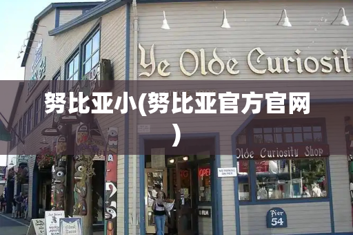 努比亚小(努比亚官方官网)