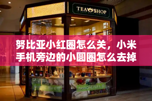 努比亚小红圈怎么关，小米手机旁边的小圆圈怎么去掉