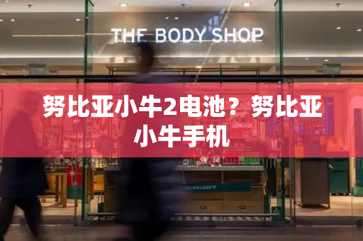 努比亚小牛2电池？努比亚小牛手机