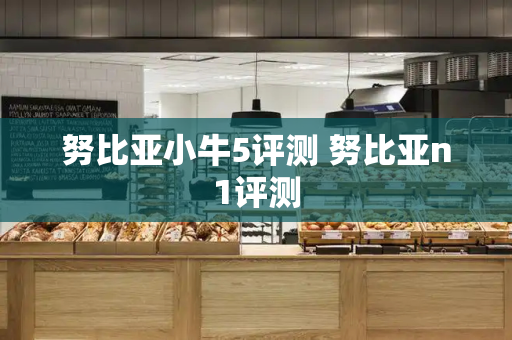 努比亚小牛5评测 努比亚n1评测