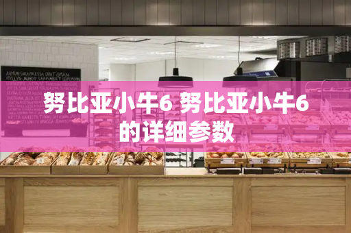 努比亚小牛6 努比亚小牛6的详细参数