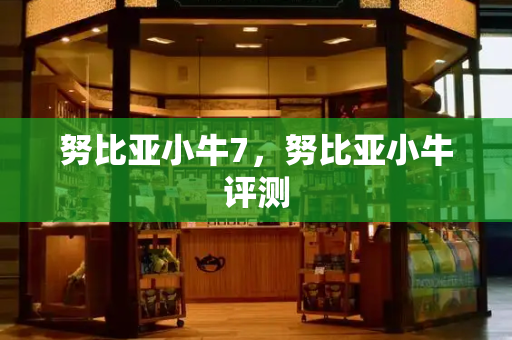努比亚小牛7，努比亚小牛评测