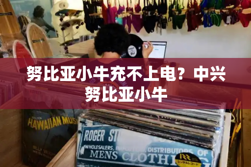努比亚小牛充不上电？中兴努比亚小牛