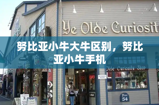 努比亚小牛大牛区别，努比亚小牛手机