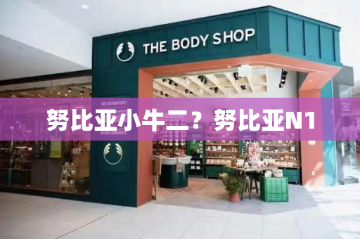 努比亚小牛二？努比亚N1