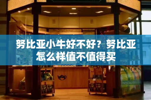 努比亚小牛好不好？努比亚怎么样值不值得买-第1张图片-星选测评